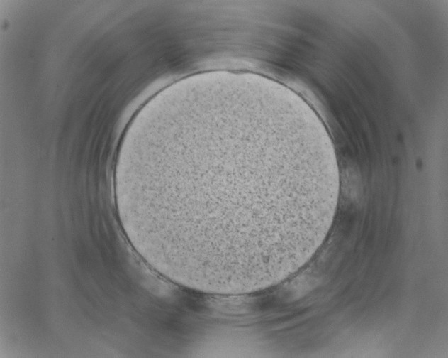 X0000066101150200604071816