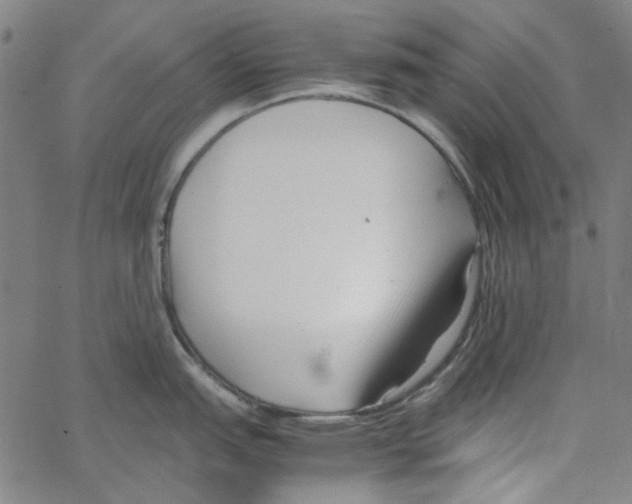 X0000066101151200604071816