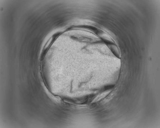 X0000066101152200604071816