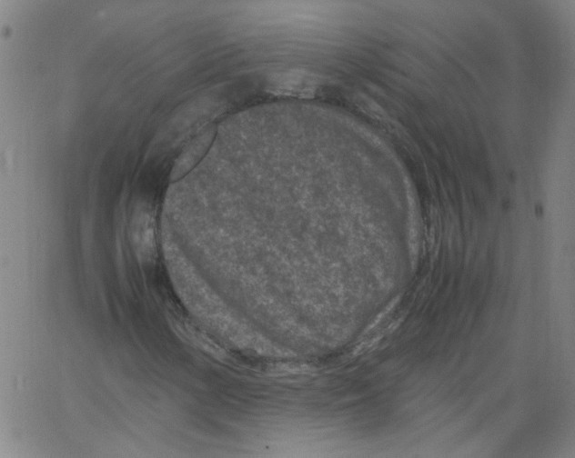 X0000066101154200604071815