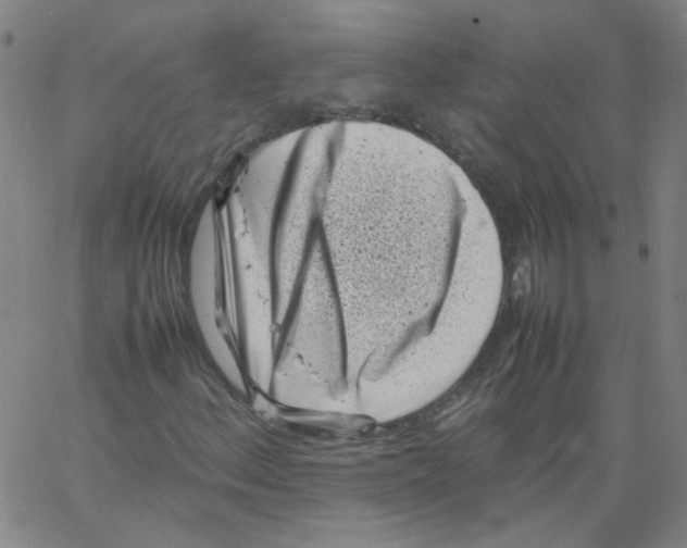 X0000066101156200604071815