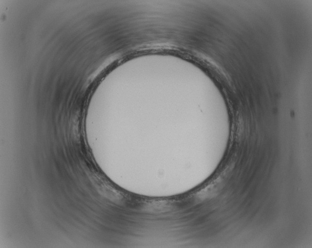 X0000066101162200604071815