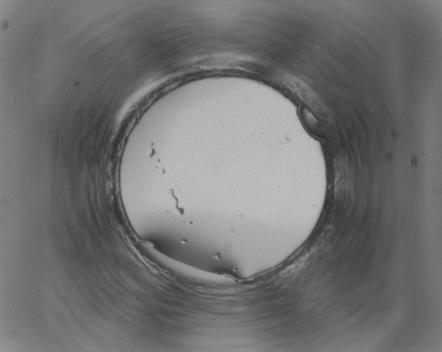 X0000066101164200604071815