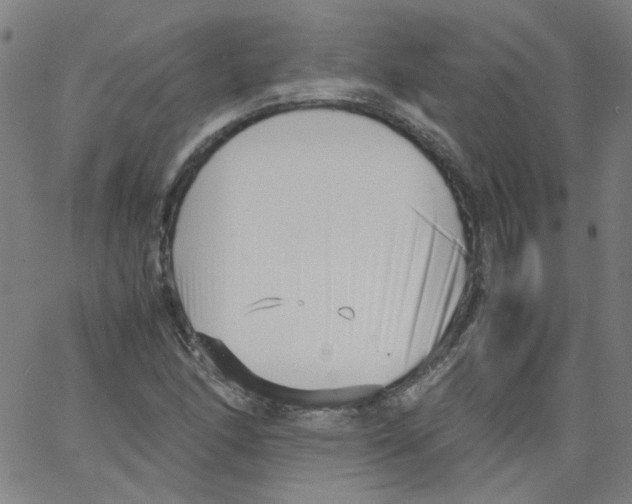 X0000066101166200604071815