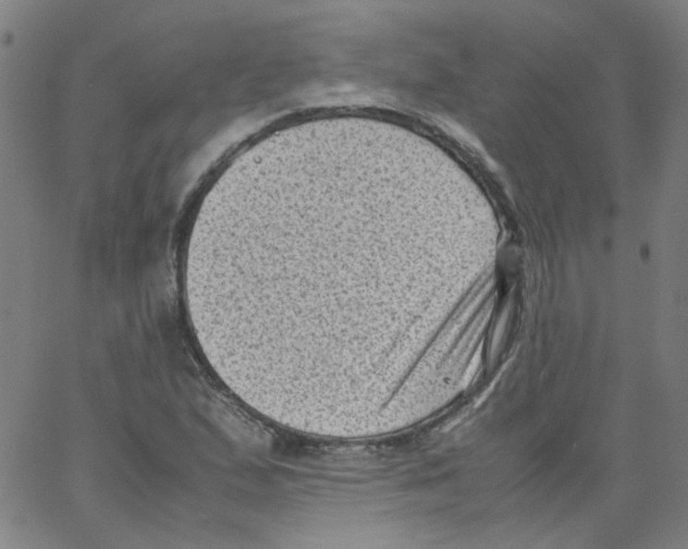 X0000066101167200604071815