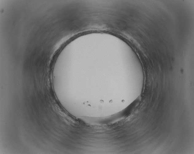 X0000066101168200604071815