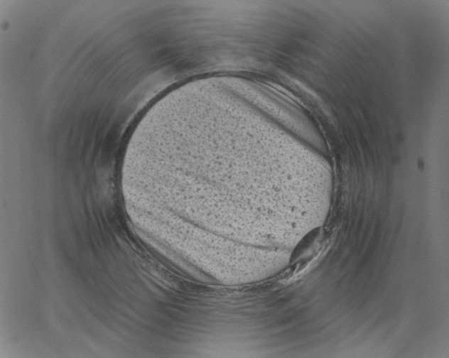 X0000066101170200604071815