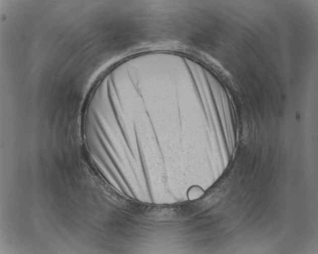 X0000066101174200604071815