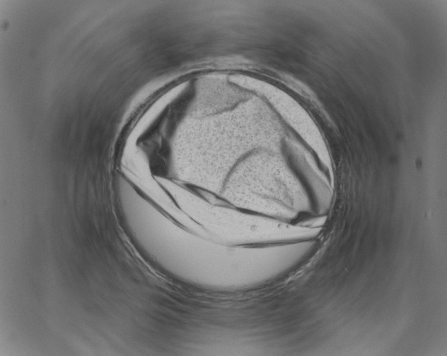 X0000066101176200604071815