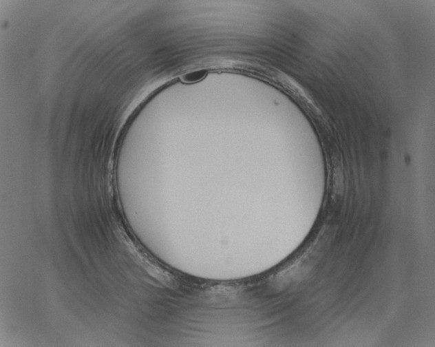 X0000066101178200604071815