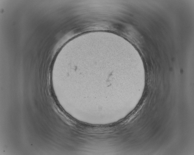 X0000066101179200604071815