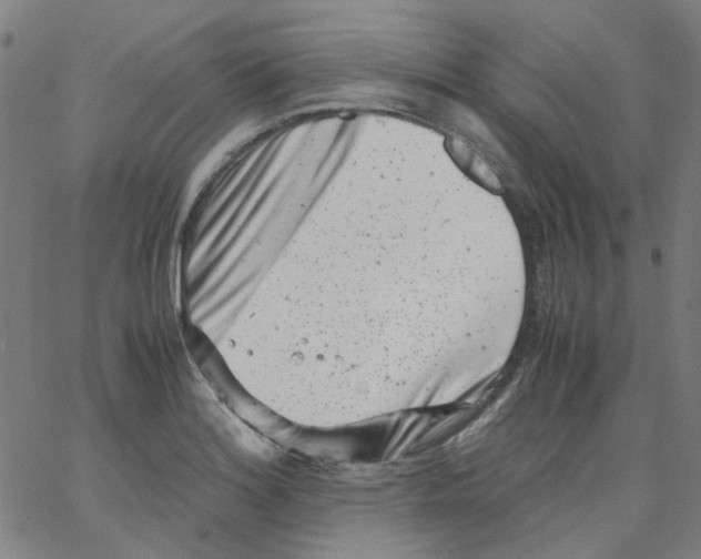 X0000066101180200604071815