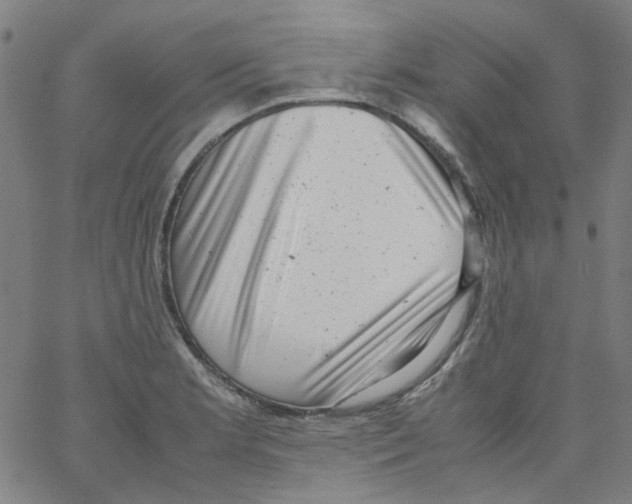 X0000066101181200604071815