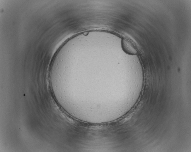 X0000066101182200604071815