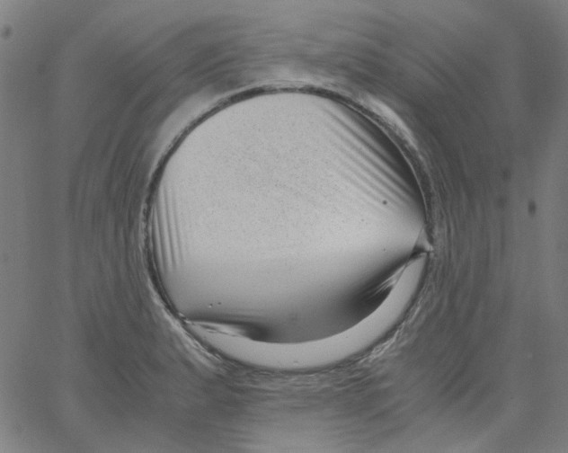 X0000066101183200604071815