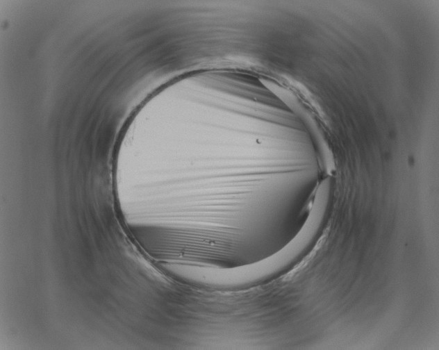 X0000066101184200604071815