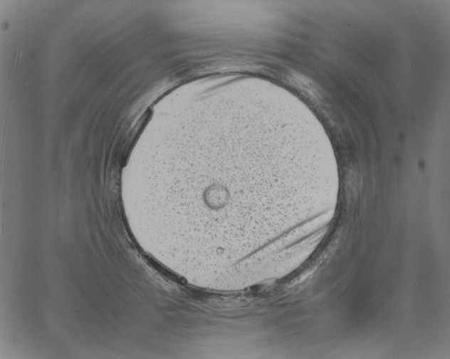 X0000066101185200604071815