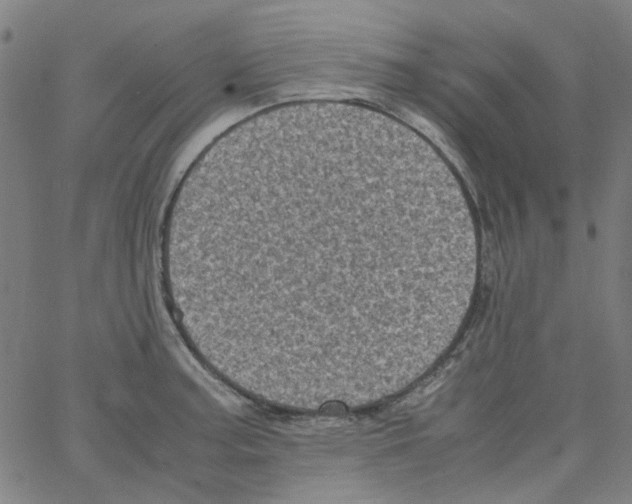 X0000066101187200604071815