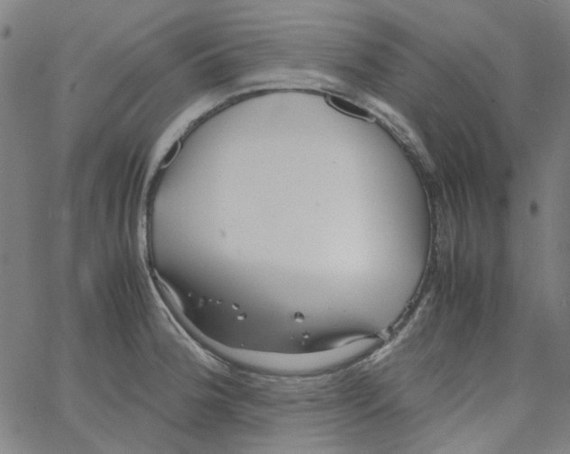 X0000066101188200604071814