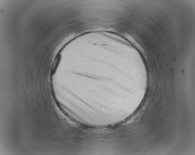 X0000066101189200604071814