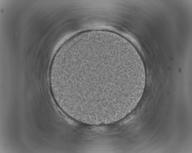 X0000066101191200604071814