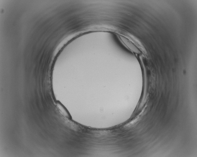 X0000066101192200604071814