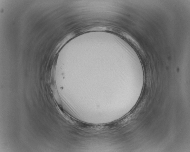 X0000066101193200604071814