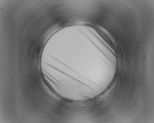 X0000066101194200604071814