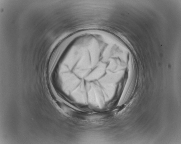 X0000066101197200604071814