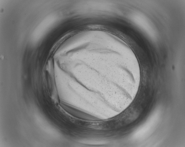 X0000066101198200604071814