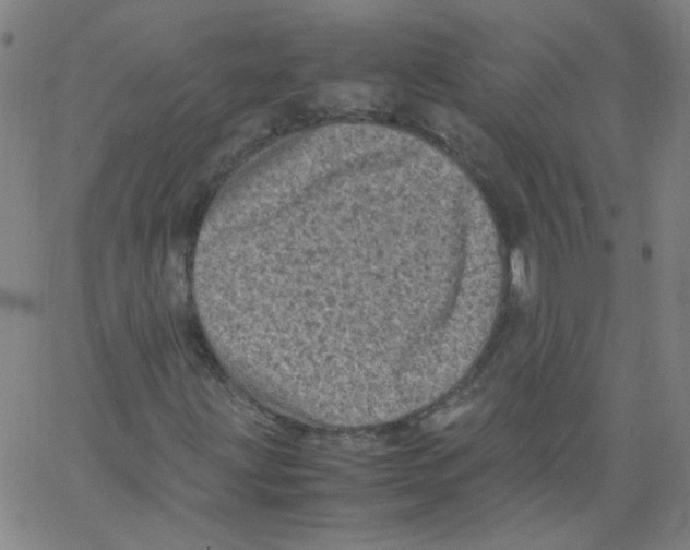 X0000066101203200604071814