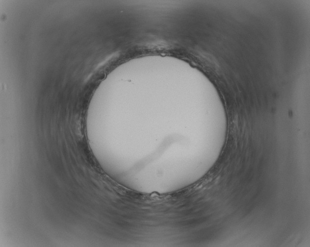 X0000066101205200604071814