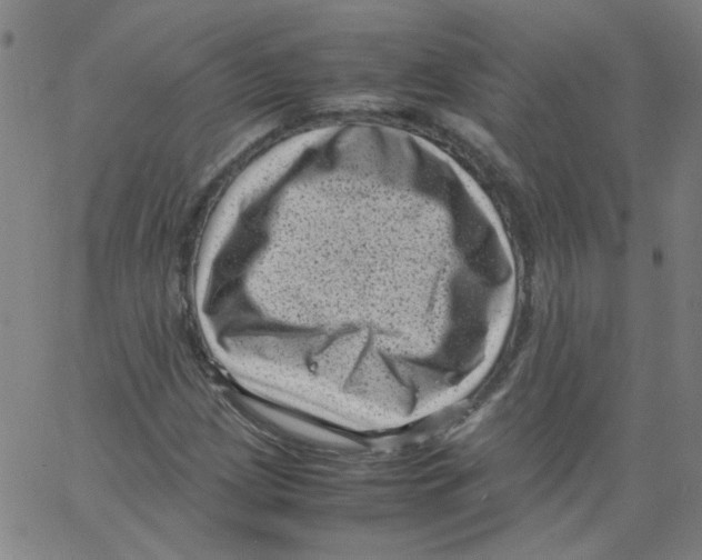 X0000066101209200604071814