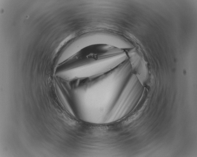 X0000066101210200604071814