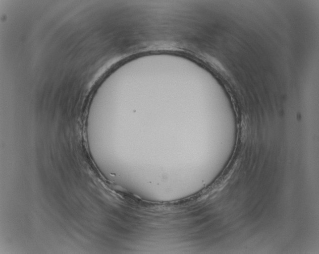 X0000066101212200604071814