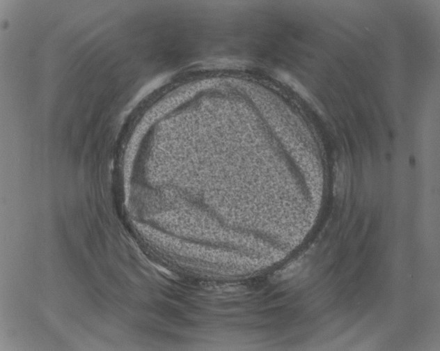 X0000066101213200604071814