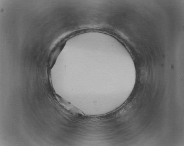 X0000066101214200604071814