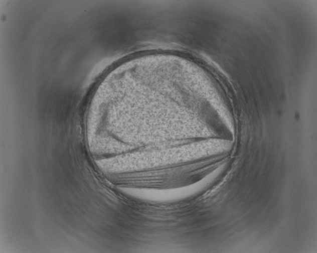 X0000066101215200604071814