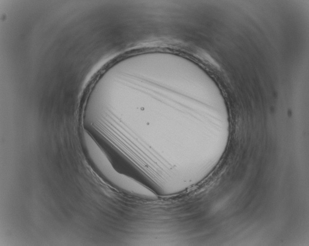 X0000066101216200604071814