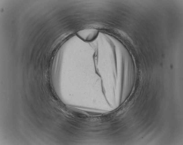 X0000066101217200604071814