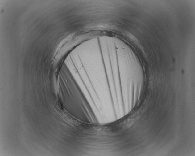 X0000066101218200604071814