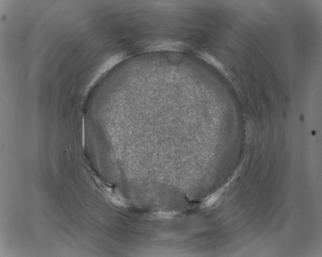 X0000066101219200604071814