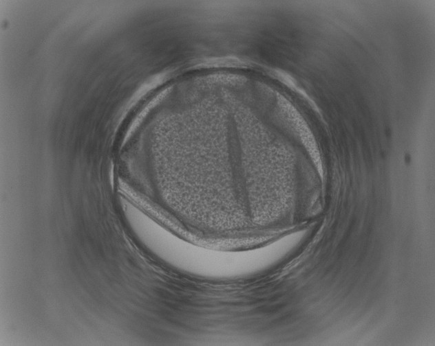 X0000066101221200604071814