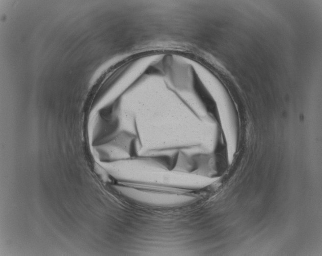 X0000066101222200604071814