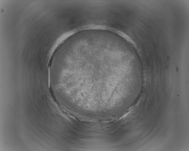 X0000066101223200604071814