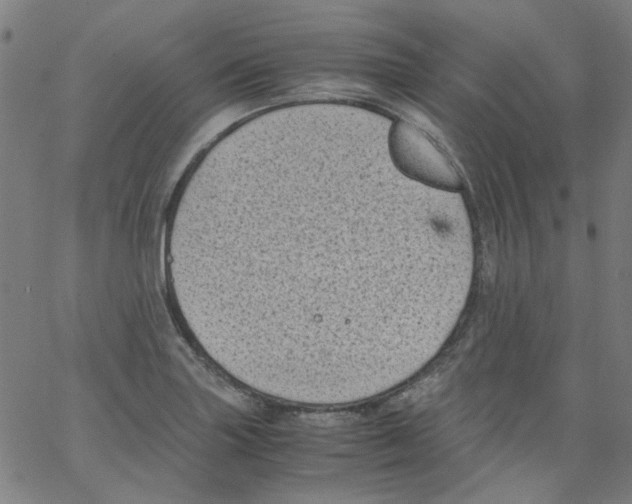 X0000066101227200604071814