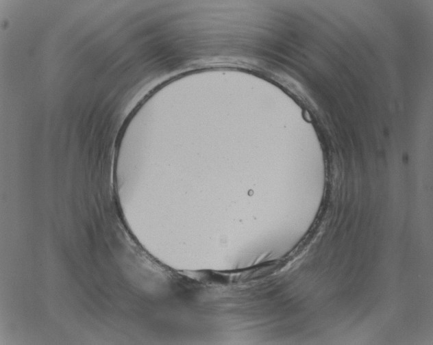 X0000066101228200604071814