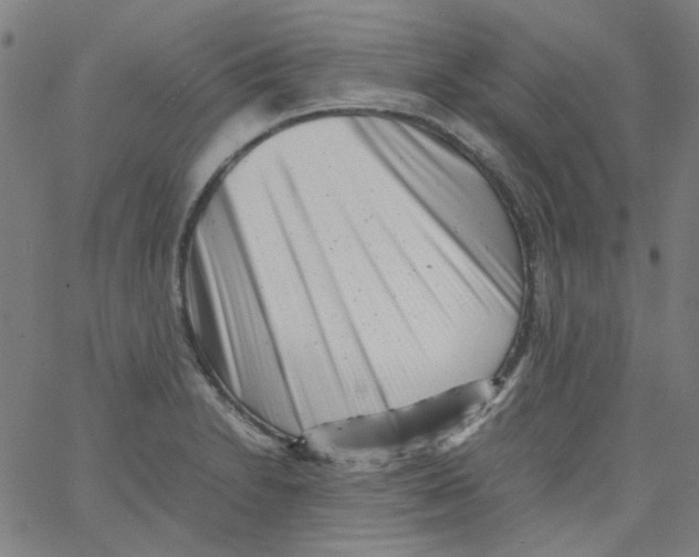 X0000066101230200604071814