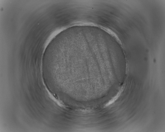 X0000066101231200604071814