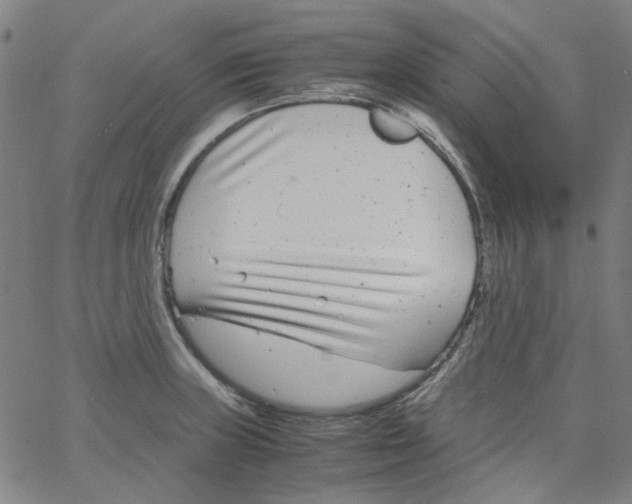 X0000066101235200604071814